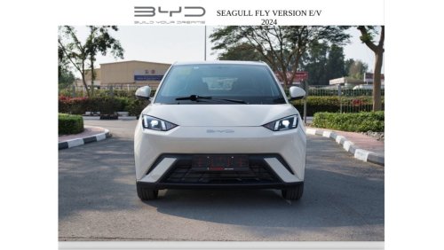 BYD Seagull