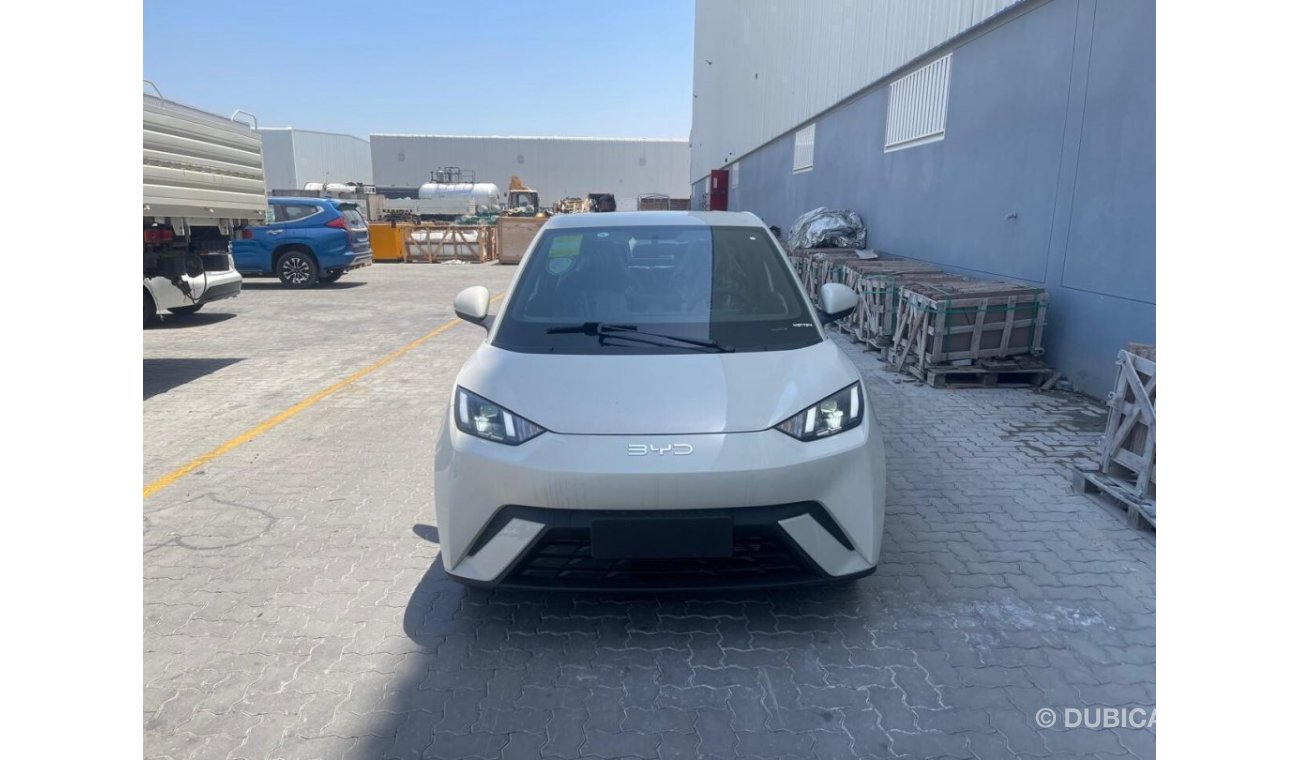 بي واي دي دولفين EV Dynamic