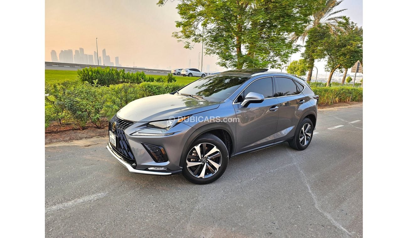 Lexus NX300 LEXSU NX300 FULLOPSIAN V4 TURBO