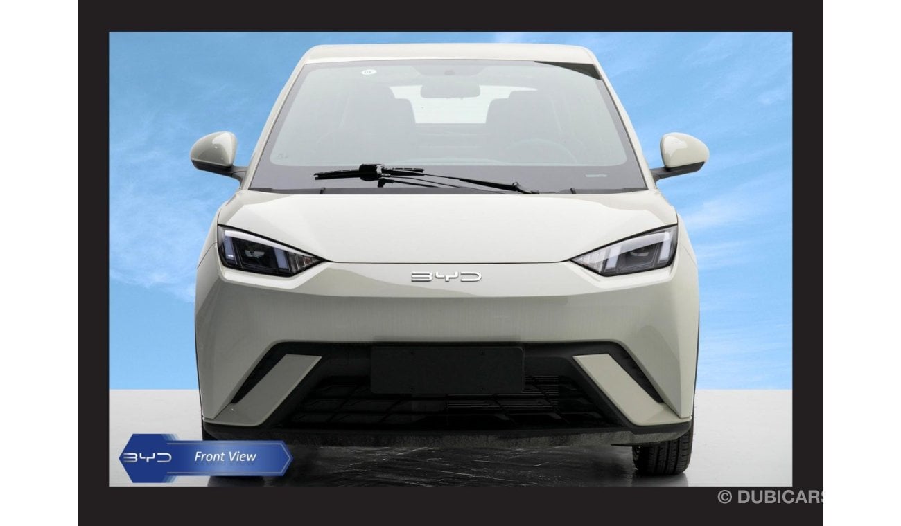 بي واي دي سيجول FLYING HATCHBACK HI AT ELECTRIC Car 2024 Model