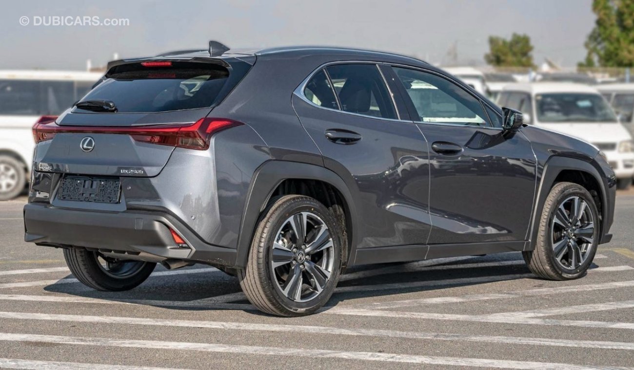 Lexus UX250h 2.0L HYBRID - GREY: SUNROOF, HUD, WIRELESS CHARGER, HEATED SEATS