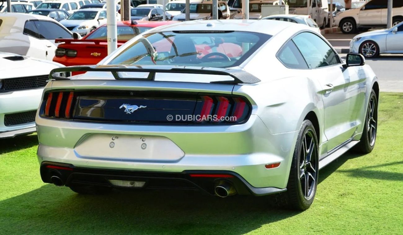 Used Ford Mustang EcoBoost Premium Mustang Eco-Boost V4 2019/Premium ...