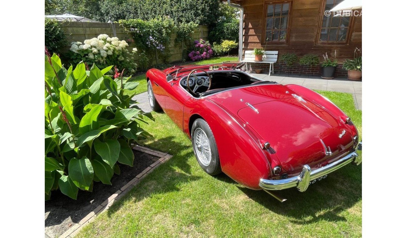 Austin Healey 100 M