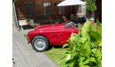 Austin Healey 100 M