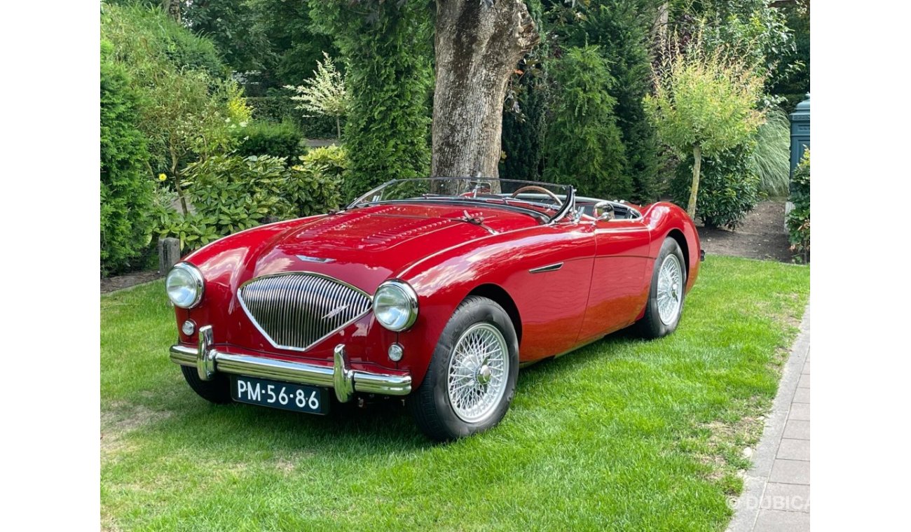 Austin Healey 100 M