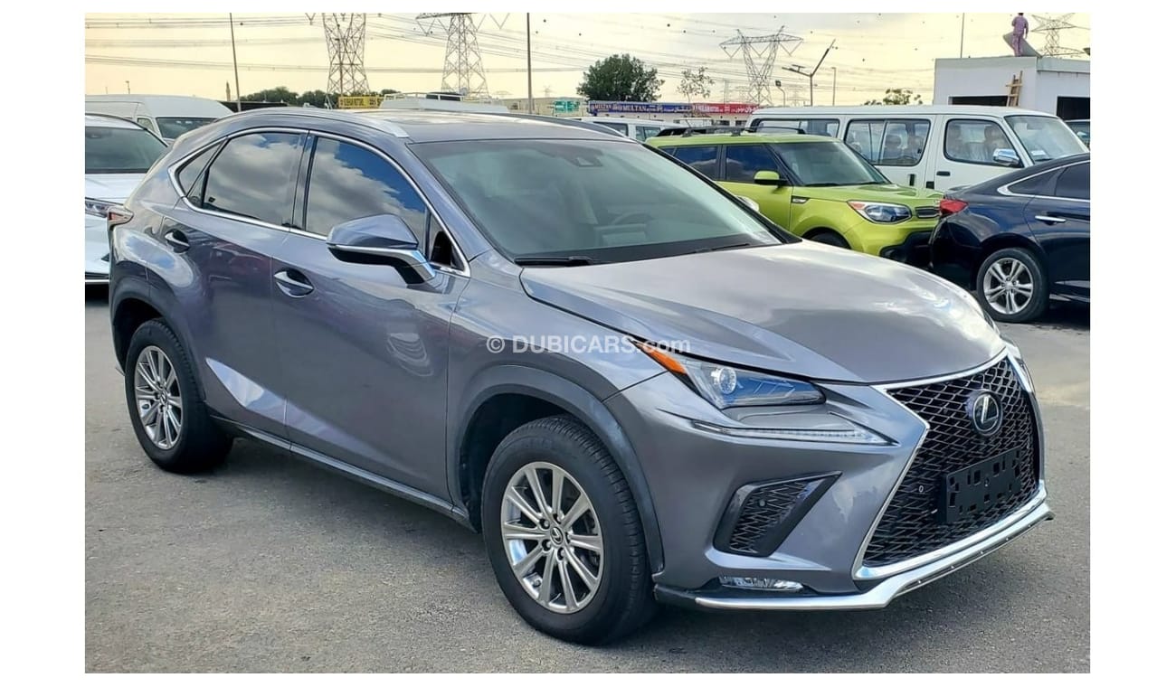 Lexus NX300 LEXUS NX300 2020 GREY