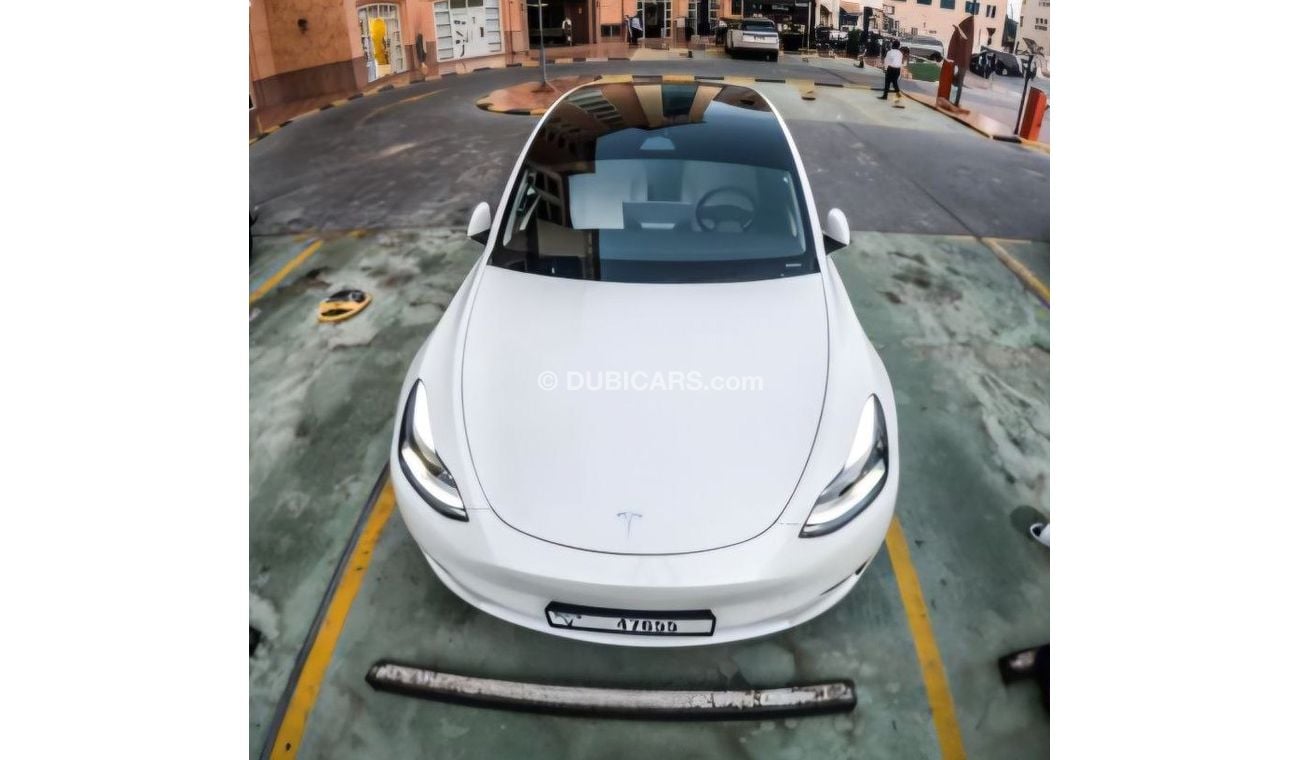 Tesla Model Y Tesla long range performance