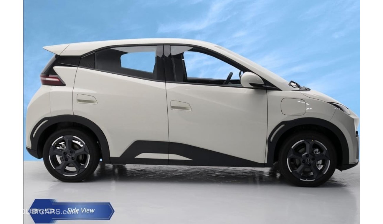 بي واي دي سيجول FLYING HATCHBACK ELECTRIC 2024