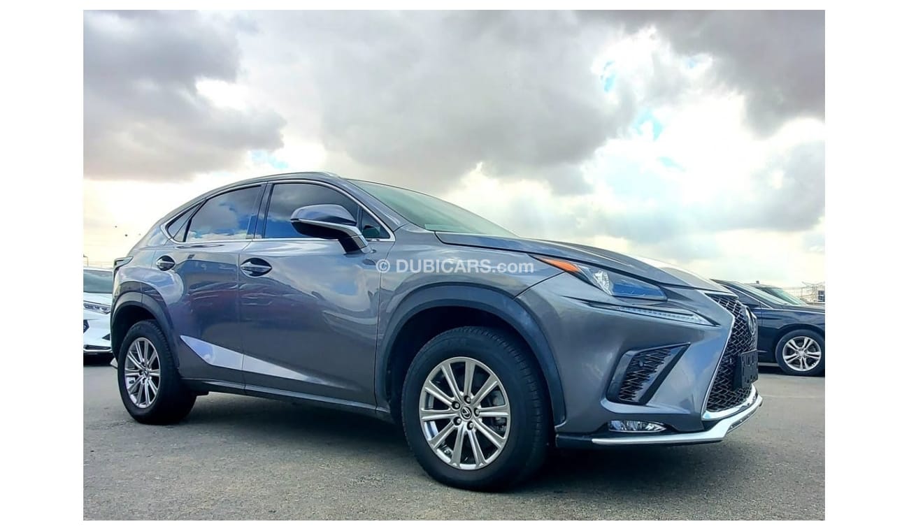 Lexus NX300 LEXUS NX300 2020 GREY