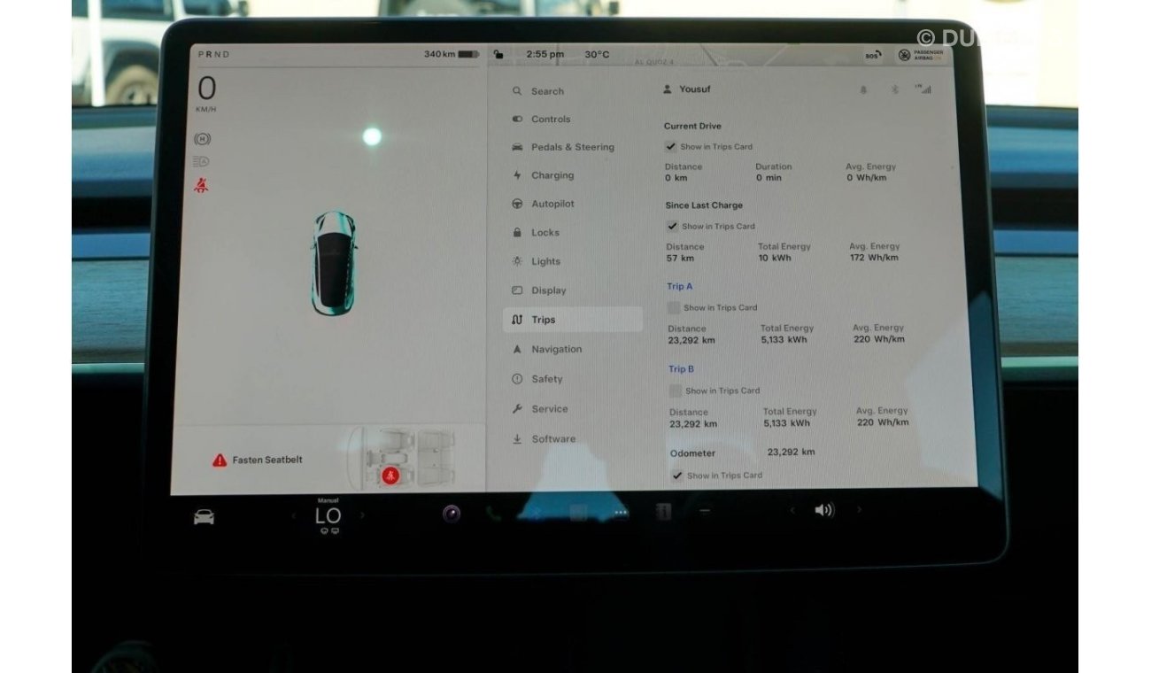 Tesla Model 3 Performance