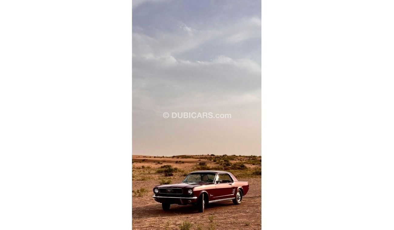 Ford Mustang Classic | 1966 | Collection car |