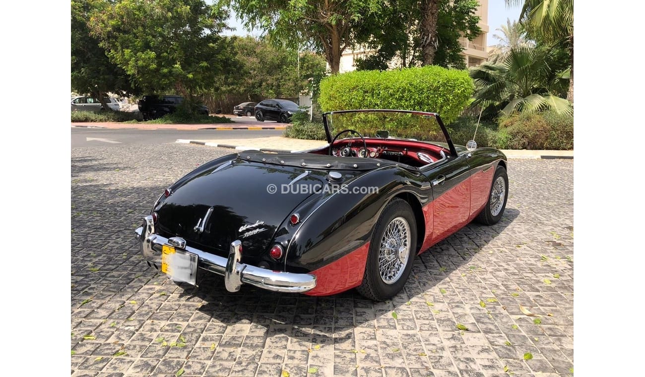 Austin Healey 3000