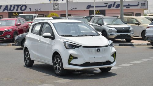 تشنجان Ben EStar Brand New Changan Ben Ben E-Star 2 Charger 2024 Export|EV|A/T|N-E-STAR-23MY-QE-2|White/Grey|