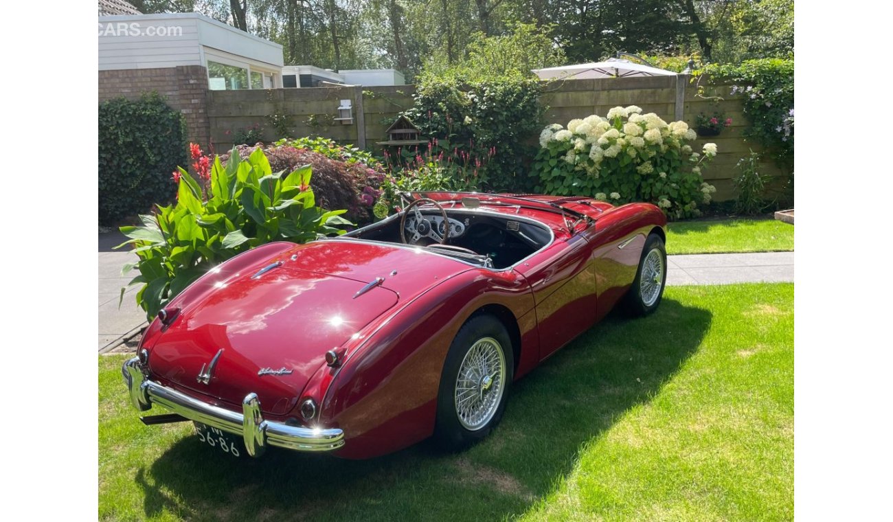 Austin Healey 100 M