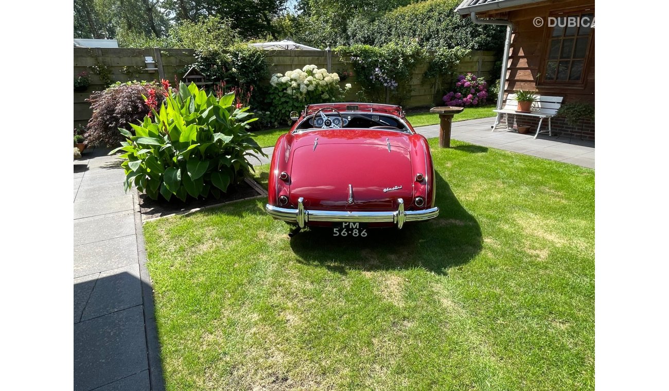 Austin Healey 100 M