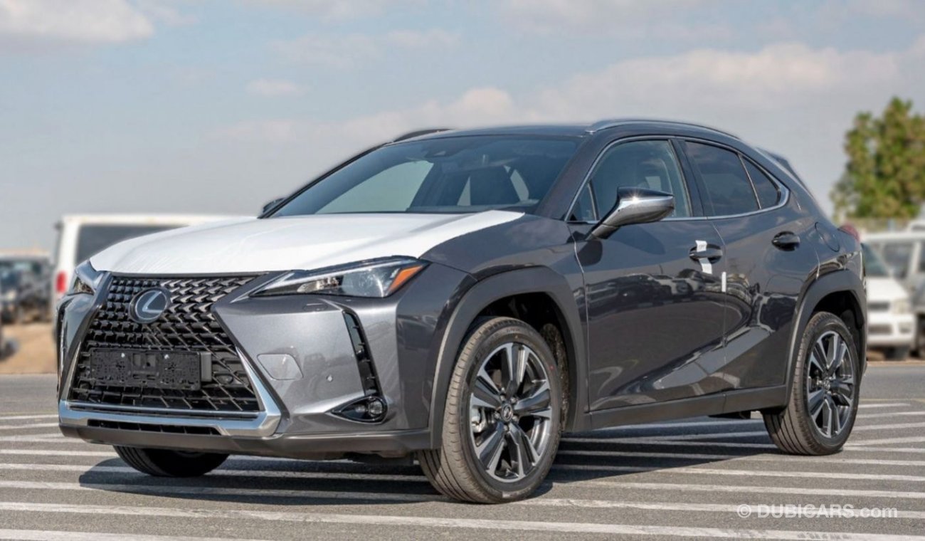 Lexus UX250h 2.0L HYBRID - GREY: SUNROOF, HUD, WIRELESS CHARGER, HEATED SEATS