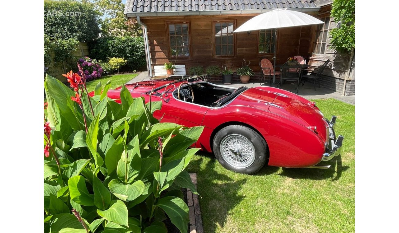 Austin Healey 100 M