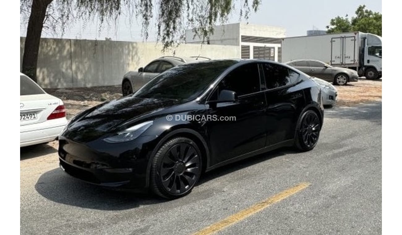 Tesla Model Y PERFORMANCE