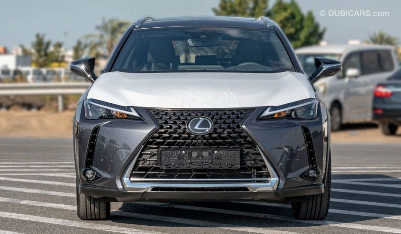 Lexus UX250h 2.0L HYBRID - GREY: SUNROOF, HUD, WIRELESS CHARGER, HEATED SEATS