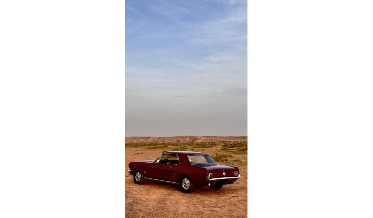 Ford Mustang Classic | 1966 | Collection car |