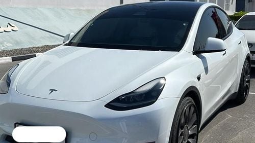 Tesla Model Y Tesla long range performance