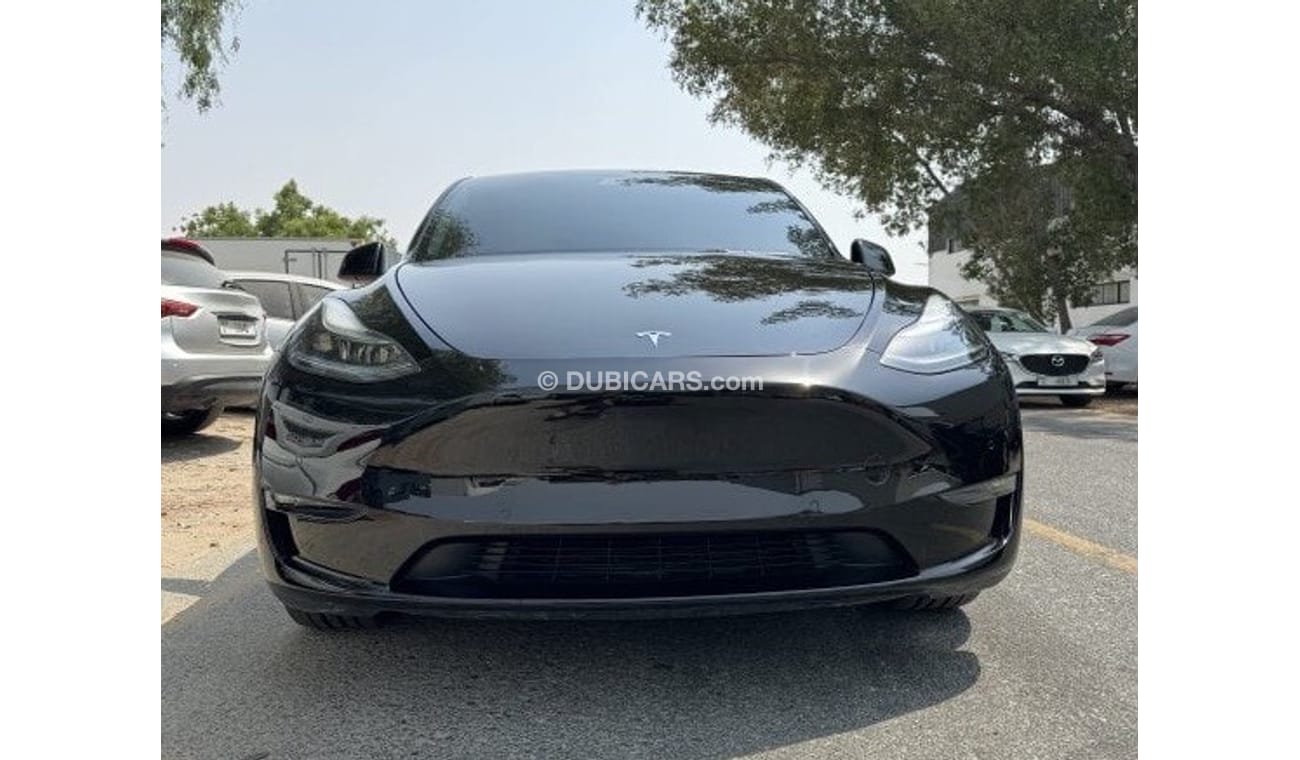 Tesla Model Y PERFORMANCE