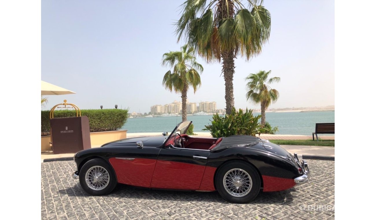 Austin Healey 3000