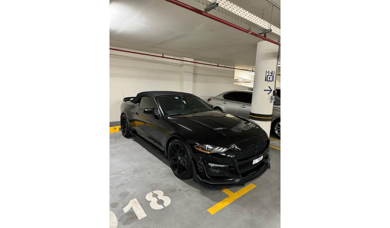 Ford Mustang Ecoboost (Shelby Kit)