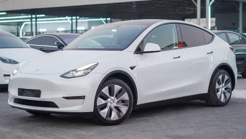 Tesla Model Y long range