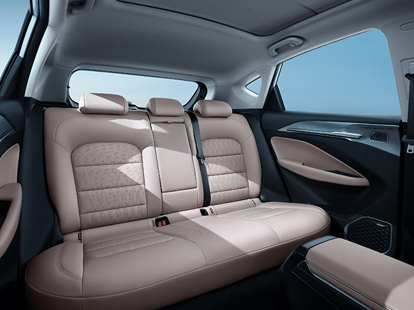 جيلي جيوميتري سي interior - Seats