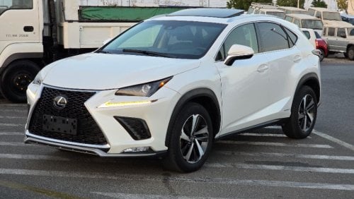 Lexus NX300 2020 Model Hybrid engine full option 360 camera