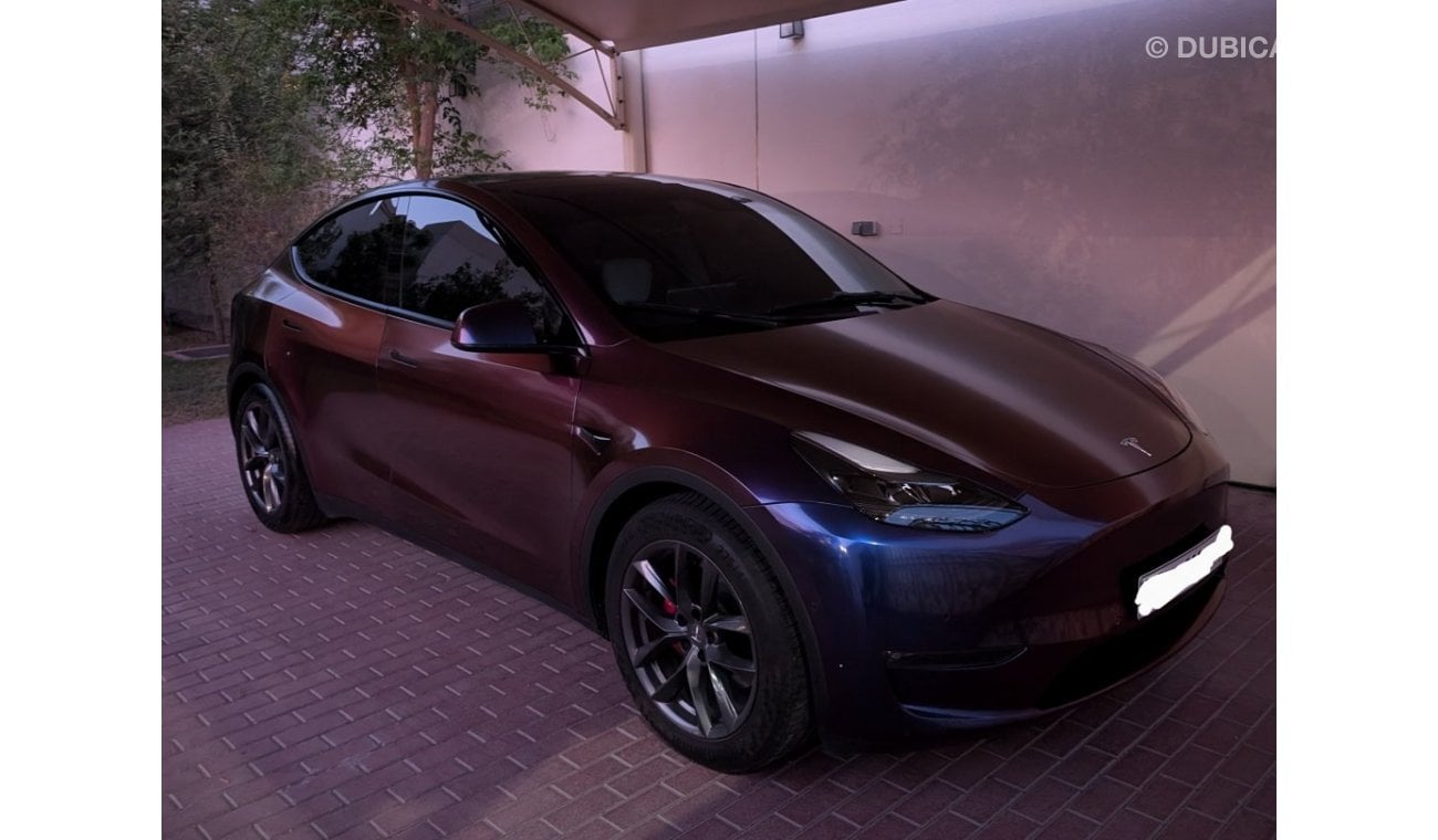 Tesla Model Y Performance