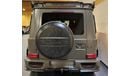 Mercedes-Benz G 63 AMG MANSORY RR DOORS P850