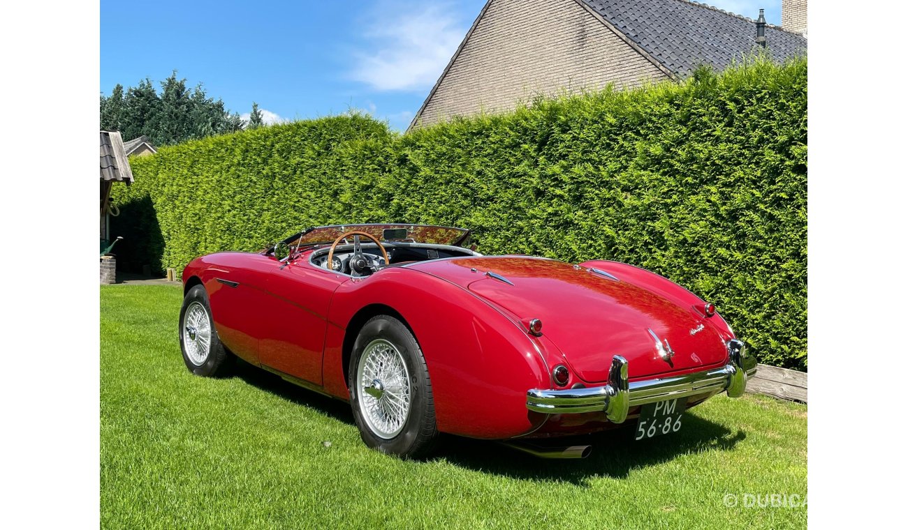 Austin Healey 100 M