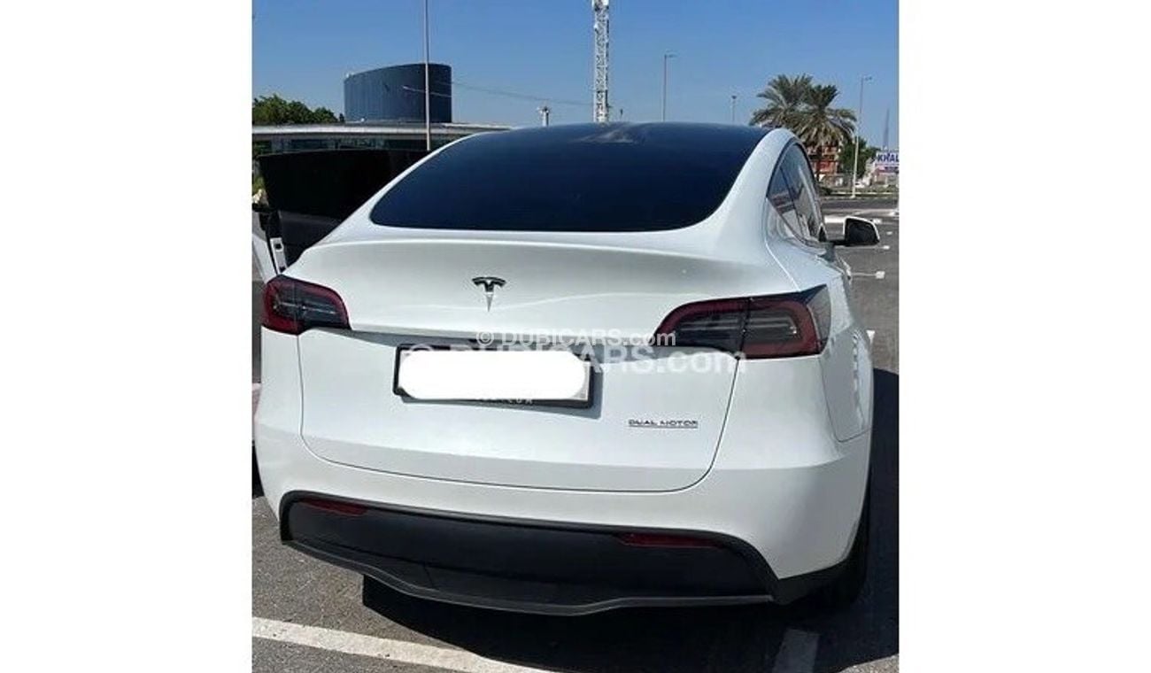 Tesla Model Y Tesla long range performance