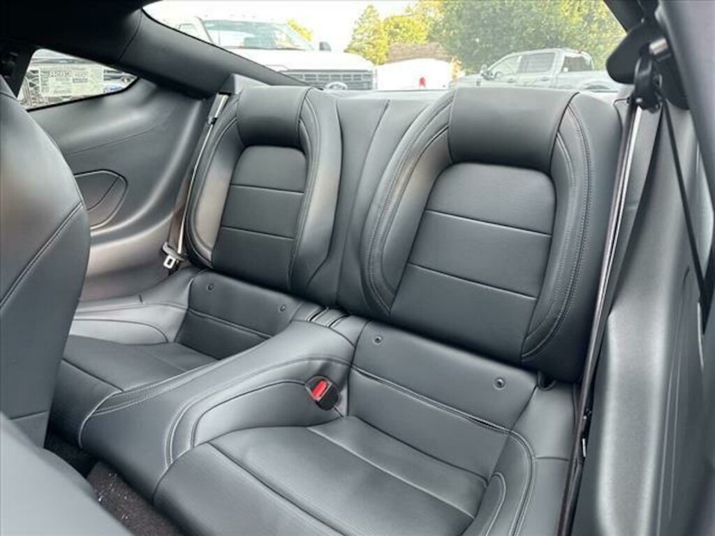 Ford Mustang interior - Seats Profile