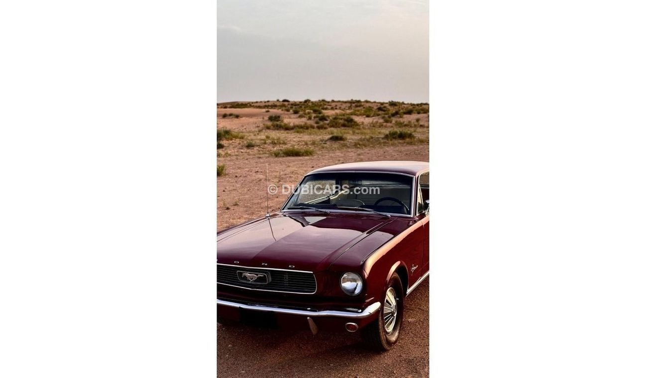 Ford Mustang Classic | 1966 | Collection car |