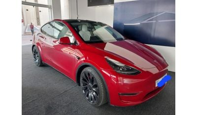 Tesla Model Y Performance