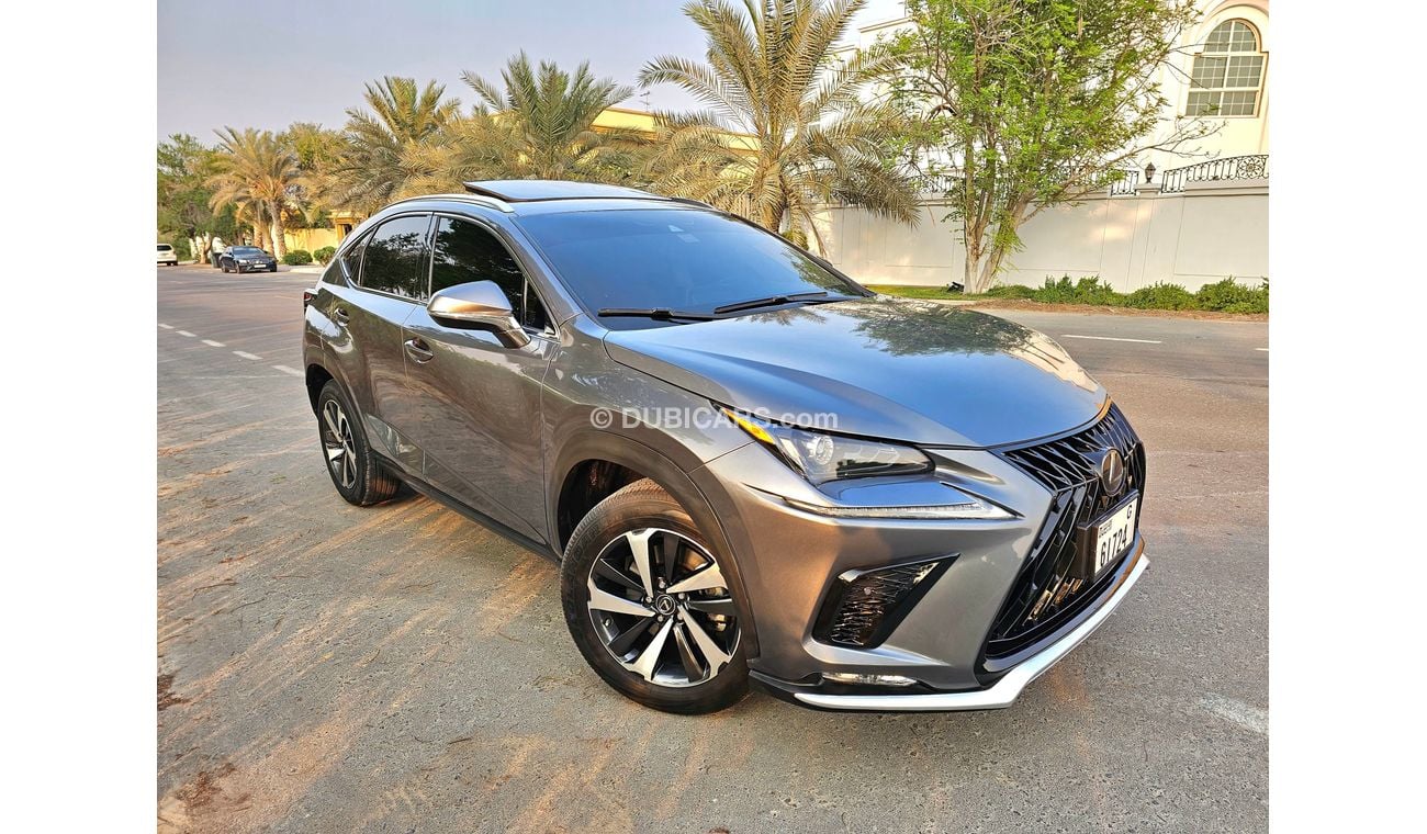 Lexus NX300 LEXSU NX300 FULLOPSIAN V4 TURBO