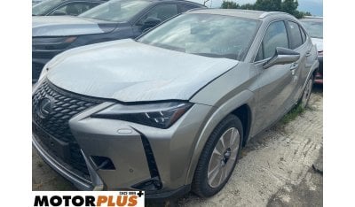 Lexus UX 300e Luxury (Titanium Gray-Hazel)