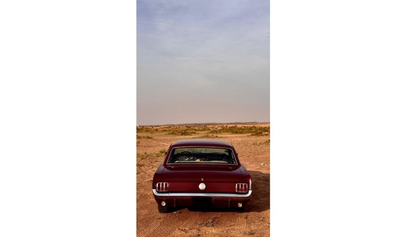 Ford Mustang Classic | 1966 | Collection car |