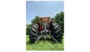 Massey Ferguson 385 BRAND NEW FOR EXPORTS