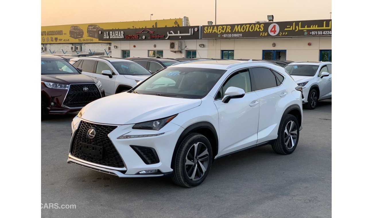 Lexus NX300 2019 LEXUS NX300 FULL OPTIONS IMPORTED FROM USA