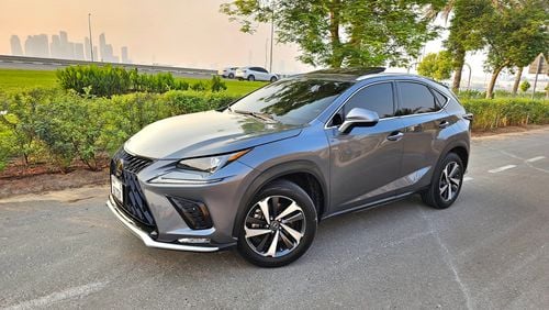 Lexus NX300 LEXSU NX300 FULLOPSIAN V4 TURBO