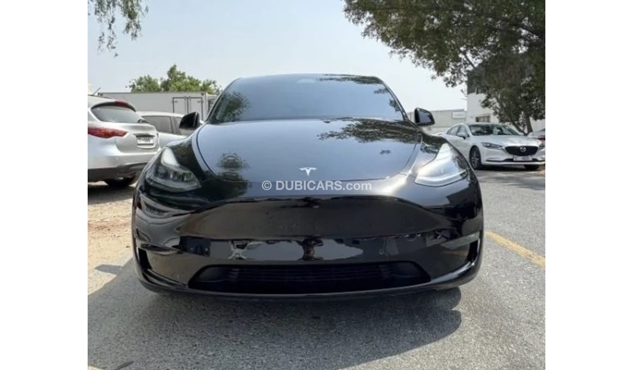 Tesla Model Y PERFORMANCE