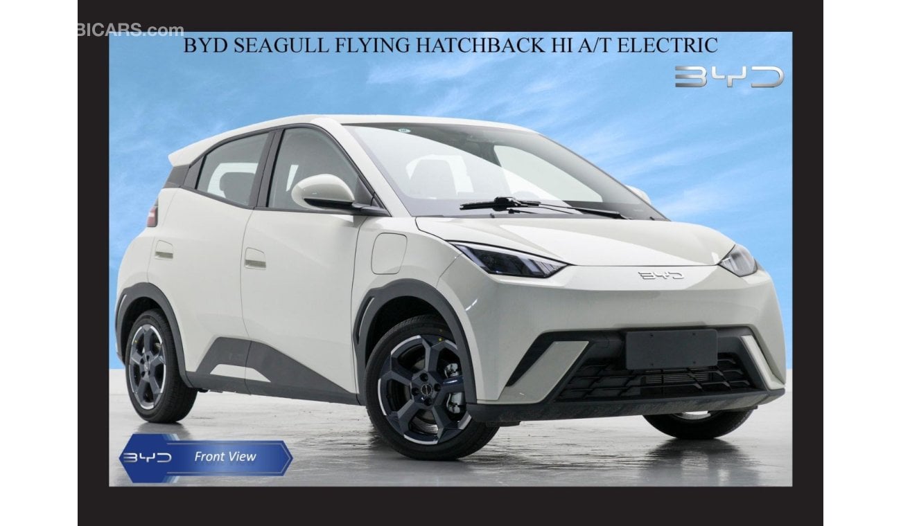 بي واي دي سيجول FLYING HATCHBACK HI AT ELECTRIC Car 2024 Model