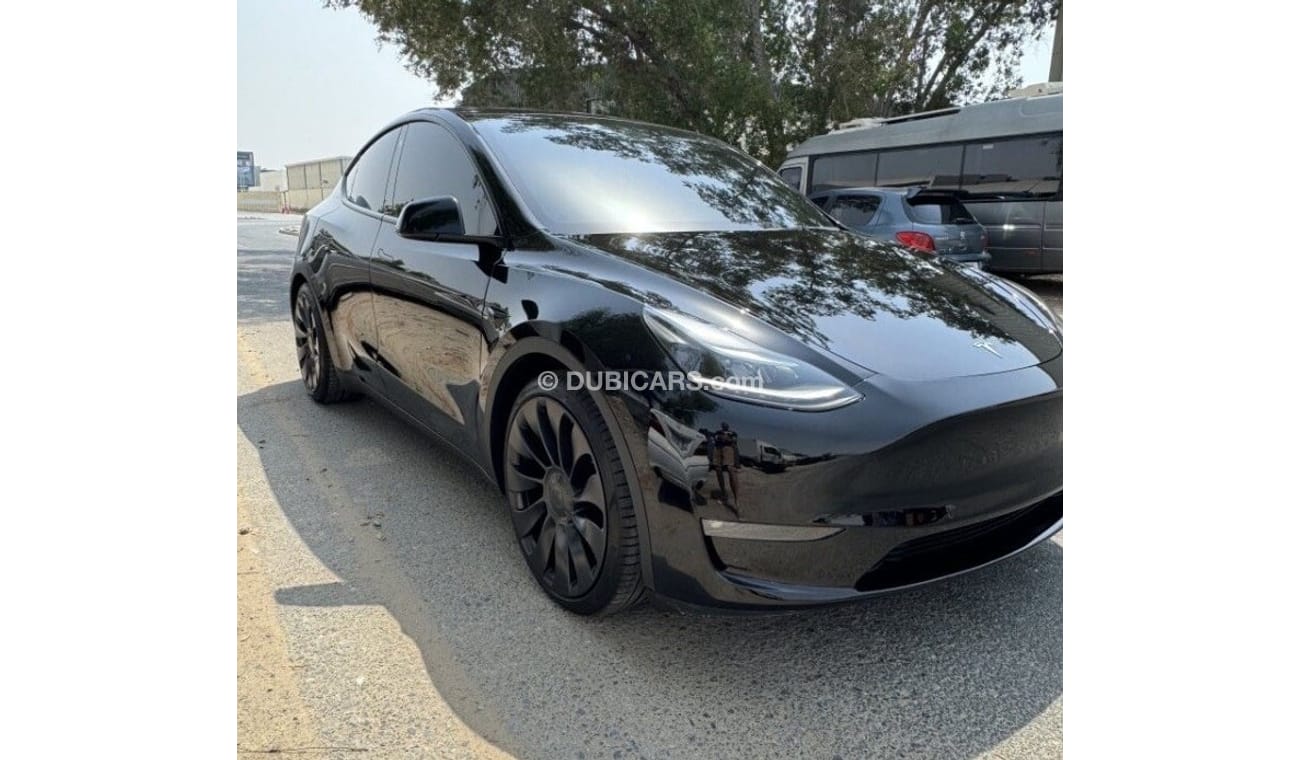 Tesla Model Y PERFORMANCE