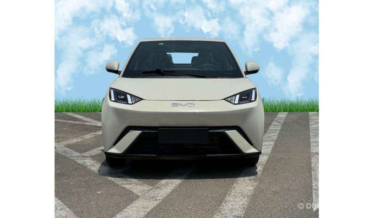 بي واي دي سيجول SEAGULL FLYING HI 2024 HATCHBACK  ELECTRIC