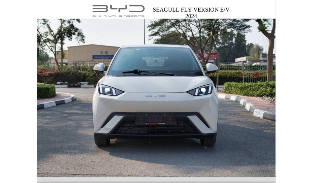 BYD Seagull