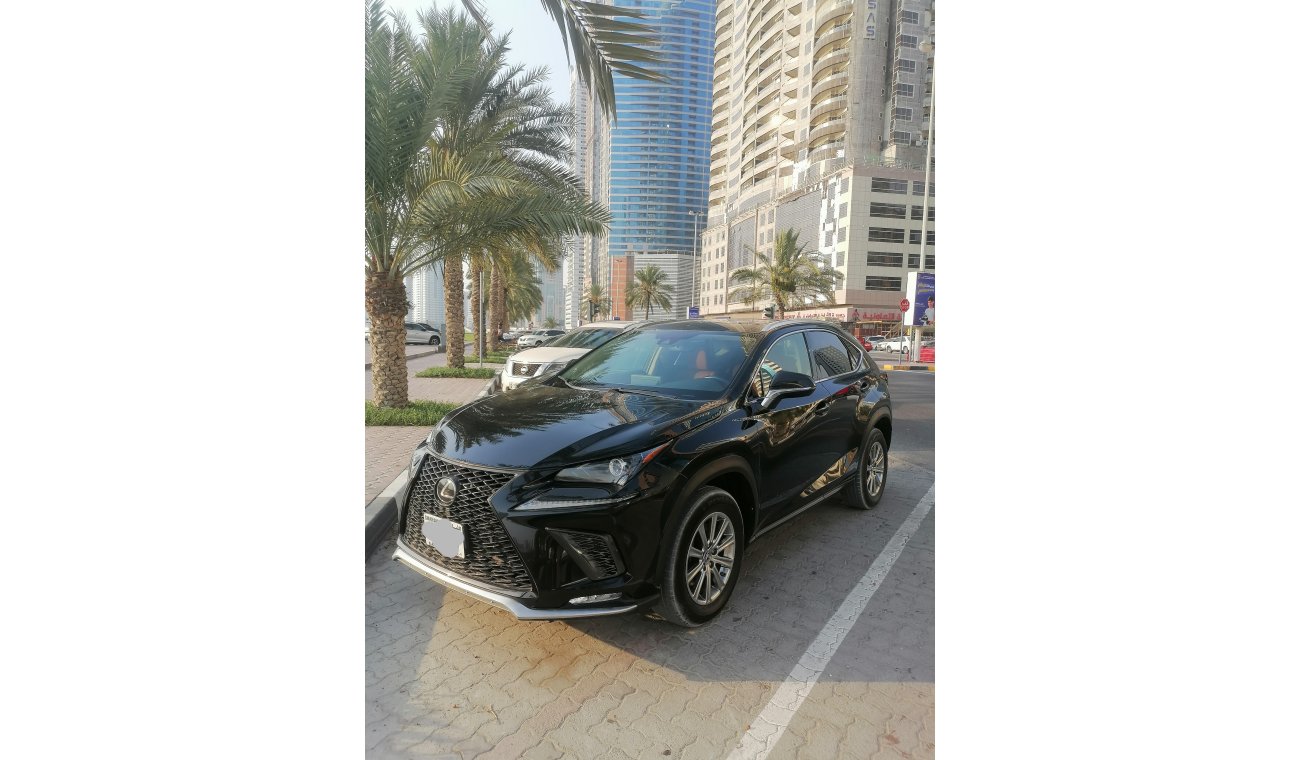 Lexus NX300 Perforated NuLuxe ® interior trim